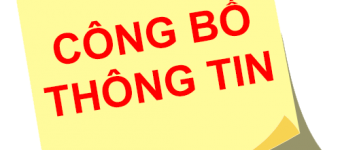 BÁO CÁO TÀI CHÍNH QUÝ 3/2020