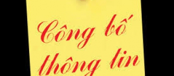  BÁO CÁO TÀI CHÍNH SOÁT XÉT 6 THÁNG ĐẦU NĂM 2020 & CBTT